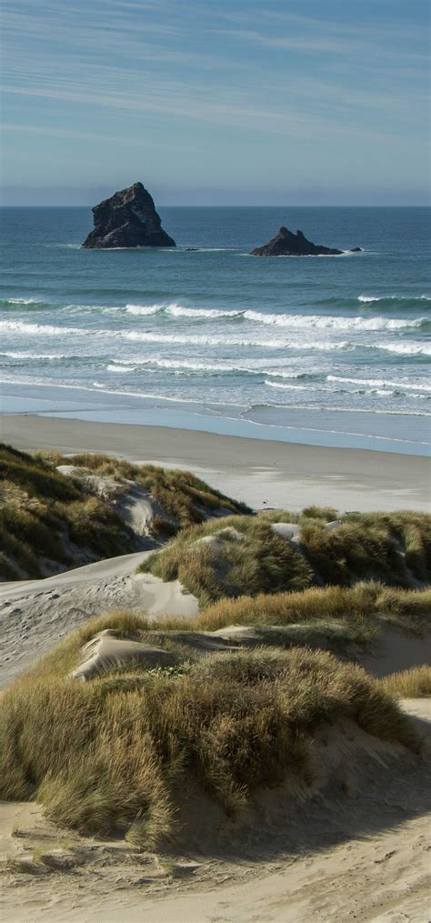 Sand Fly Bay Otago Peninsula South Island New Zealand New Zealand Beach New Zealand South