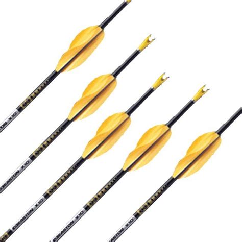 Easton X10 Archery Bow Arrows Bows
