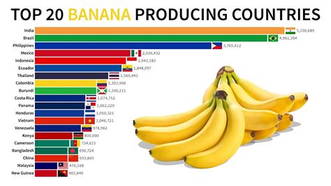 Worlds Top Banana Producing Countries Youtube