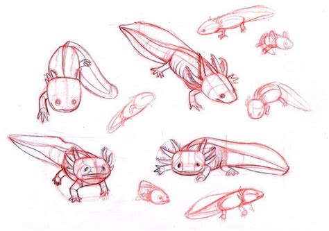 Just hatched axolotl (1⁄4tsp for scale). axolotls by sofmer on deviantART | Sketch book, Axolotl ...