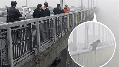 Photographer Captures Moment Suicide Couple Jump Off 40 Metre High Bridge World News Mirror