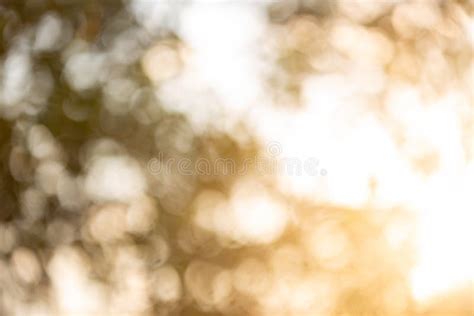 The Blur Light Bokeh From The Sunlight In The Leaves Stock Photo