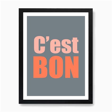 Cest Bon Grey And Pink Art Print By Pentire Prints Fy