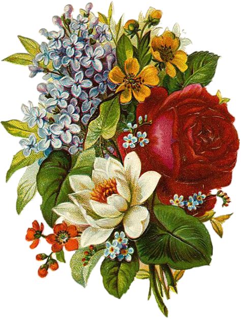 ❤ get the best vintage flowers wallpaper on wallpaperset. Flower Vintage Collage · Free image on Pixabay