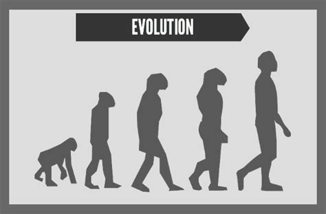 Evolution How Does It Actually Work Science Lass