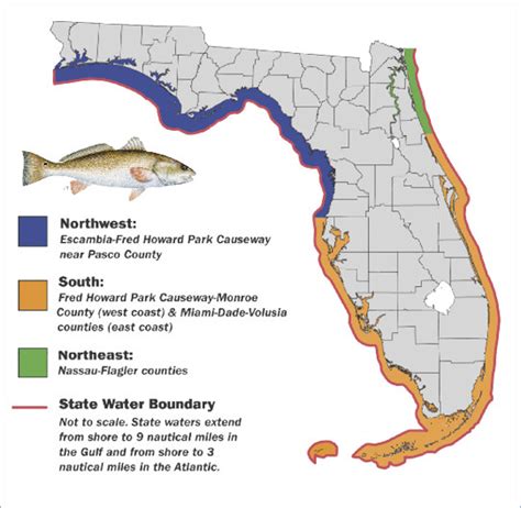 Management Zones Florida Saltwater Fishing Eregulations