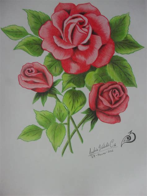 Rosas A Lapices De Colores Dibujos De Rosas Imagenes De Flores
