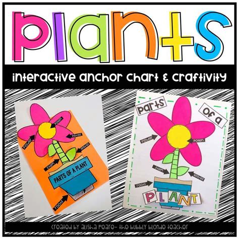 Plants Life Cycle Science Crafts Writing Printables Plants Anchor