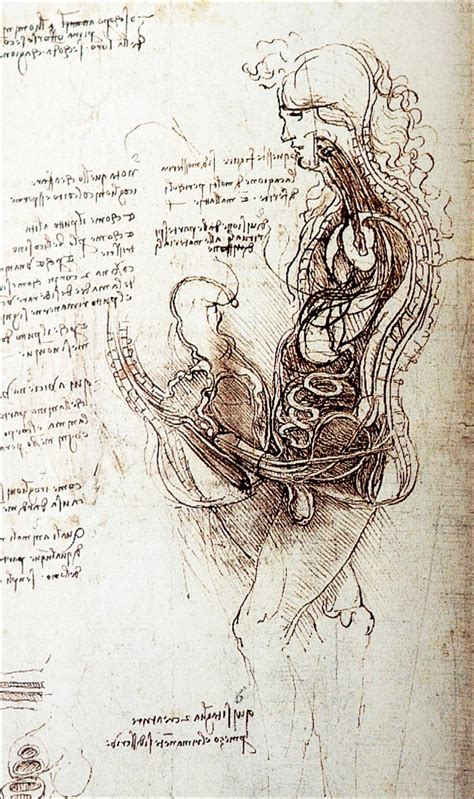 A Drawing By Leonardo Da Vinci I Mean I Get That The Man Was Probably Gay But Clearly He Had