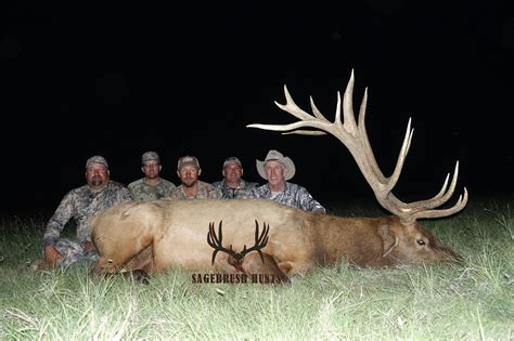 3 Giant New Mexico Elk 24hourcampfire