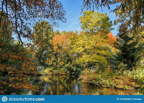 Beautiful Autumn Trees With Colorful Leaves On A Lake In An Old Park
