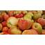 Some Honeycrisp Apples Recalled Die To Listeria Threat