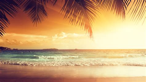 Wallpaper Beautiful sunset, palm tree leaves, beach, sea, tropical ...