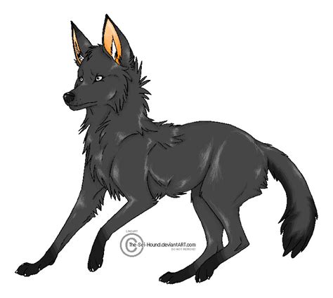 Black Wolf By Syachi On Deviantart