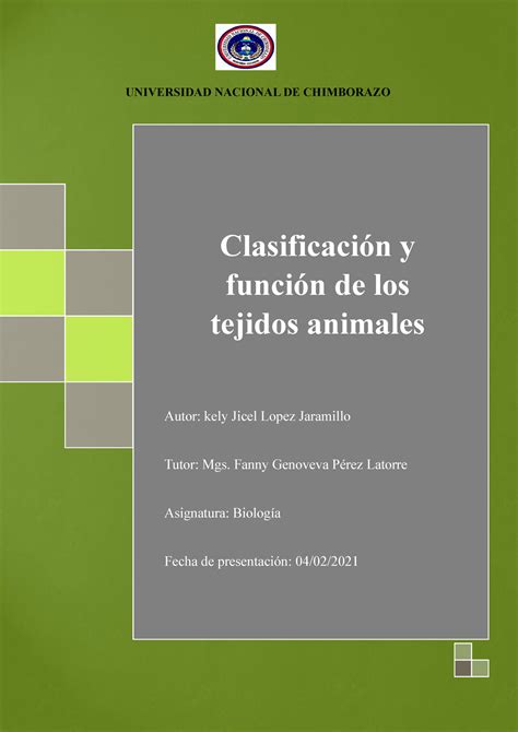 Clasificación Y Función De Los Tejidos Animales Clasificación Y