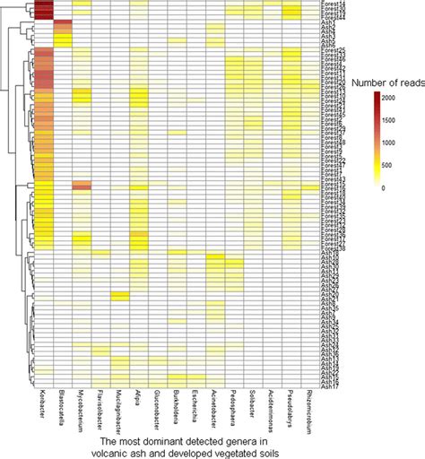A Heat Map Illustrating The Most Abundant Bacterial Genera Based On Download Scientific Diagram