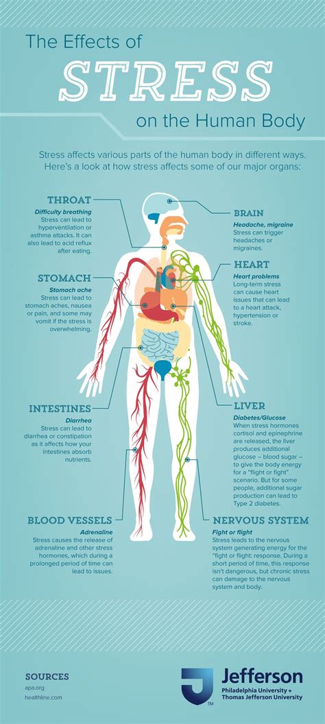 Infographic Effects Of Stress On The Human Body Artofit