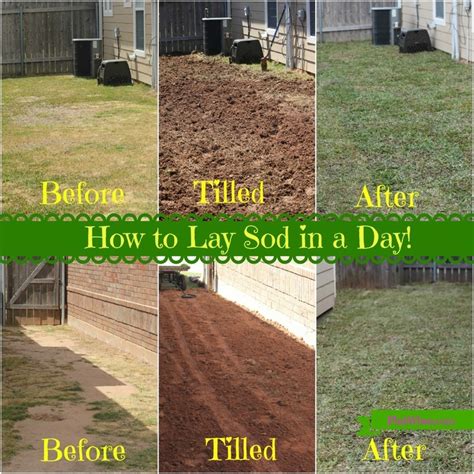This last step ensures that the sod you lay will have all the nutrients fill a lawn roller ¾ full of water and walk it over the entire sod. Laying Sod On A Hill | Tyres2c