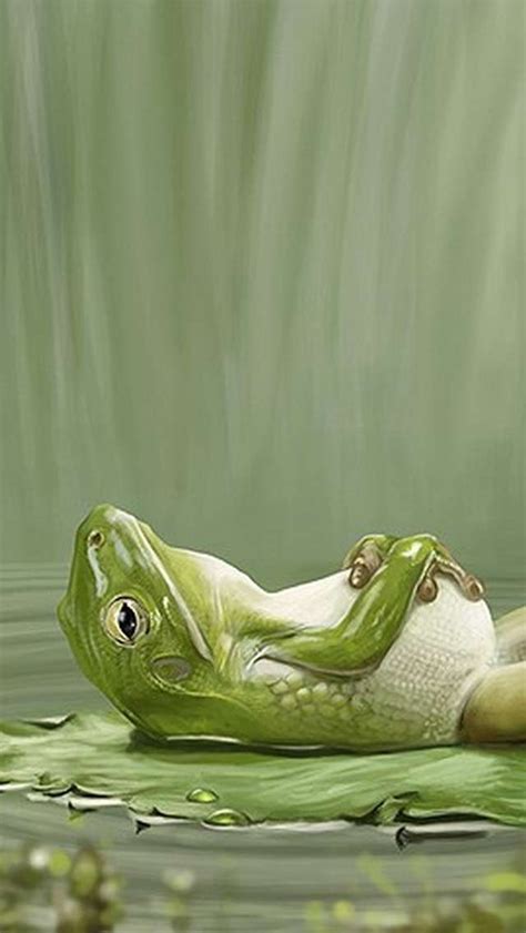 Relaxing Frog Iphone Wallpapers Animals Frog Nature Iphone Wallpaper
