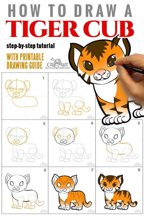 How To Draw A Roaring Tiger Step By Step Drawing Guid Vrogue Co