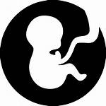 Birth Icon Pregnancy Child Svg Icons Clipart