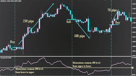 How To Trade With The Momentum Indicator Best Forex Trading Strategy