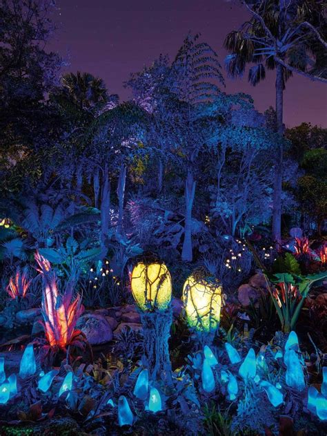 New Nighttime Photos Of Pandora The World Of Avatar Light Up The Night