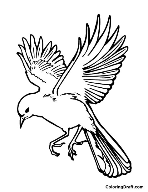 Flying Bird Coloring Pages