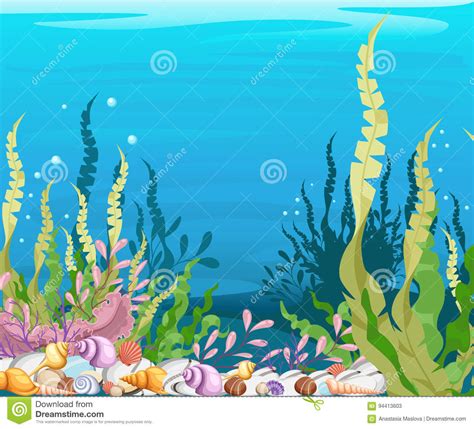 Under The Sea Background Marine Life Landscape The Ocean
