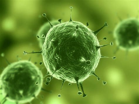 What Is Cytomegalovirus Infectiondiagnosistreatment And Causes
