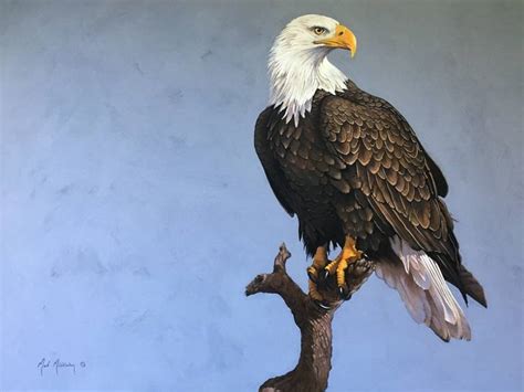 Bald Eagle Painting By Mark Middleton Saatchi Art