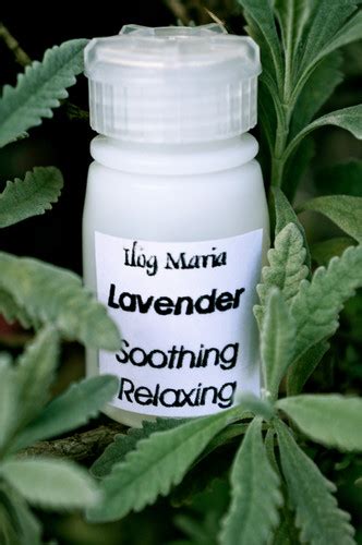 Lavender Aromatherapy Oil Ilogmaria