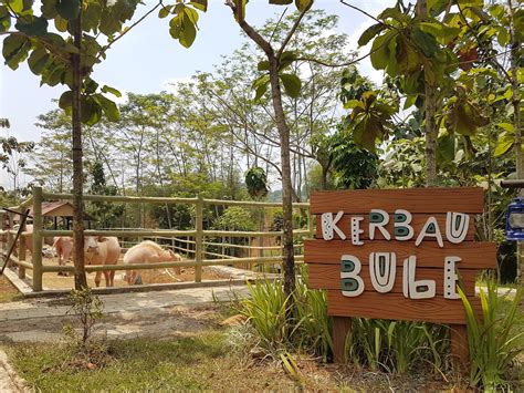 Bogor Mini Zoo
