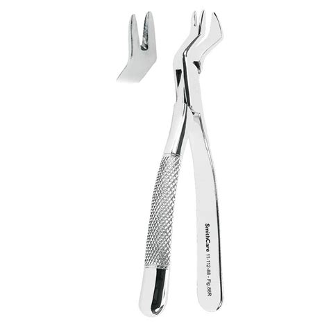 Tooth Extracting Forcep American Pattern Fig 88r Smithcare