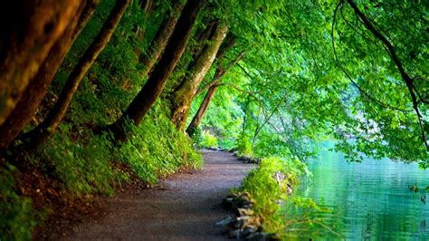 Awesome Green Lake Road Wallpaper 1920x1080 자연스러운 국립공원 아름다운 장소