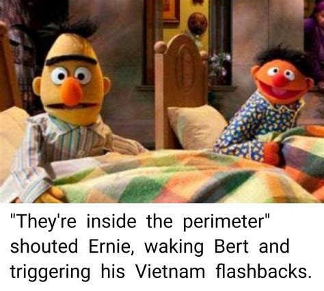 Bert And Ernie Memes Vietnam