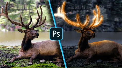 Glow Effect Deer Photoshop Cc Tutorial The Easy Tips Youtube