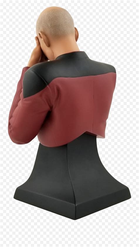 Star Trek The Next Generation Captain Picard Facepalm Bust Face Palm