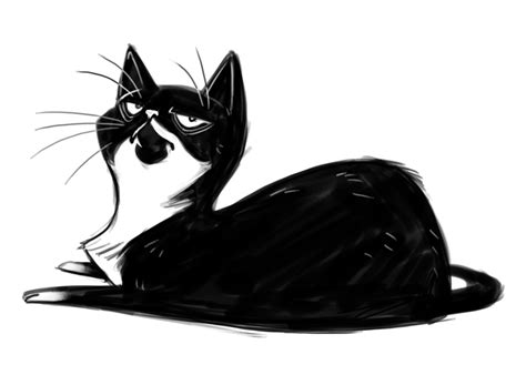 Daily Cat Drawings Photo