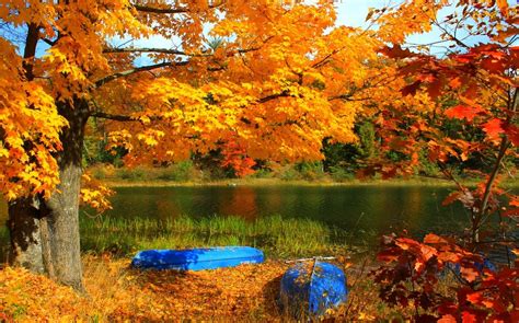 572363 Nature Landscape Lake Trees Boat Leaves Fall Green Water Rare
