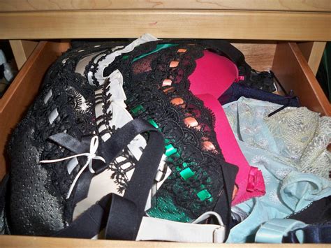 Boosaurus!: Bra Storage Methods