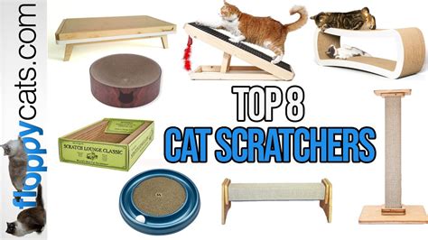 Top 8 Best Cat Scratchers We Reviewed Them All Youtube
