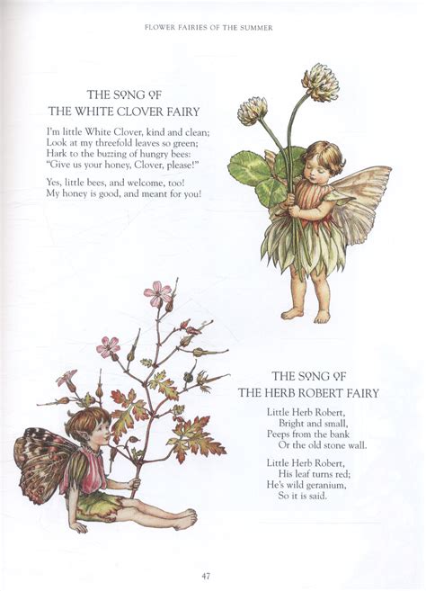 The Complete Book Of The Flower Fairies By Barker Cicely Mary