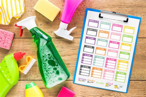 Free Cleaning Stickers For Planners Digital Planner Stickers Included