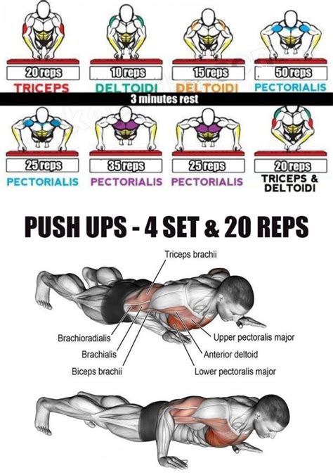 3 Best Exercise For Chest Guide