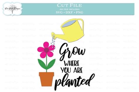 Grow Where You Are Planted Garden Quote