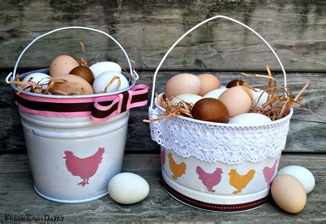 Repurposed Painted Easter Egg Pail Fresh Eggs Daily With Lisa Steele