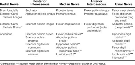 Motor Innervation by Nerve | Download Table
