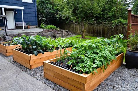 43 Raised Garden Beds Vegetables Backyards