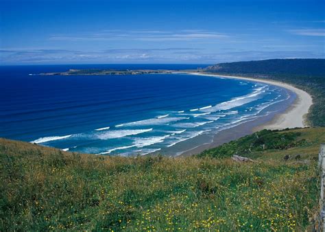 Visit The Catlins On A Trip To New Zealand Audley Travel
